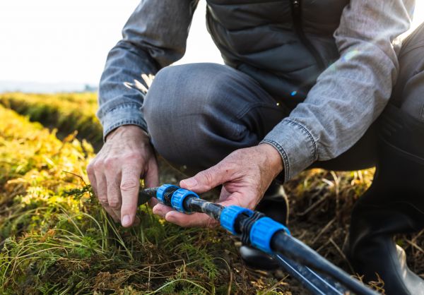 Irrigation Line Repair