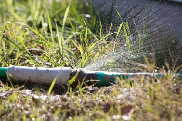 Sprinkler Damage Repair