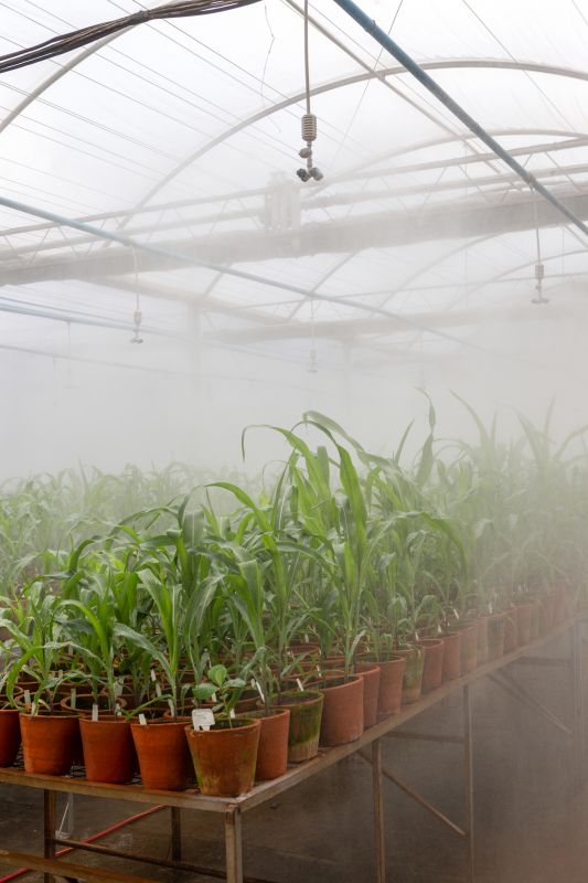 Seasonal System Preparation