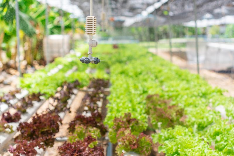 Installation Professionals